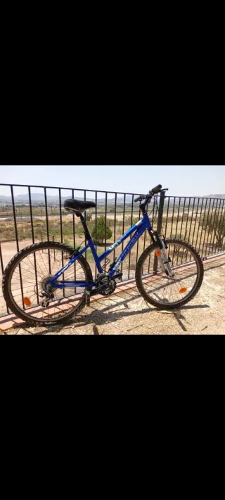 ✅Bicicleta Trek 3900 Azul