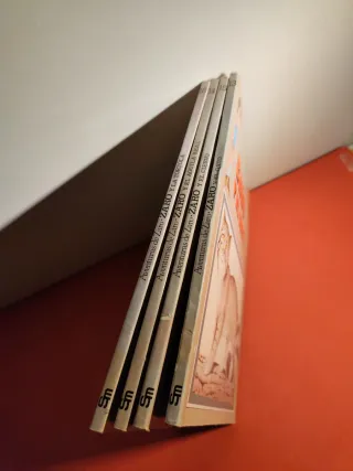 Pack libros Zaro.