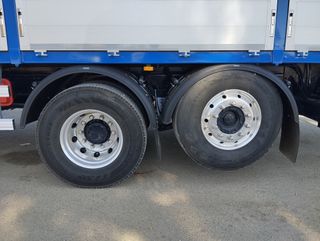 Scania G 450-CAMIONES GRUAS