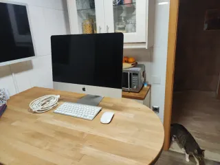 IMAC 21,5 Late 2013 Plata