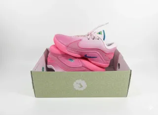 Nike LeBron 22 SN Edición Limitada