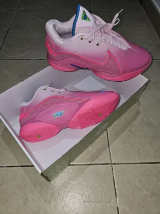 Nike LeBron 22 SN Edición Limitada