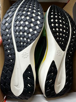 Nike Pegasus 41 Verde y Amarillo