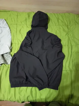 Cortavientos Lacoste gris