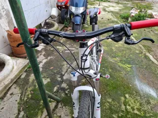 Bicicleta Cannondale Trail SL4 29