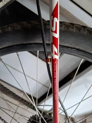 Bicicleta Cannondale Trail SL4 29