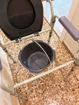 Silla WC con reposabrazos