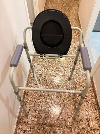 Silla WC con reposabrazos