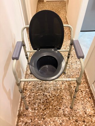 Silla WC con reposabrazos