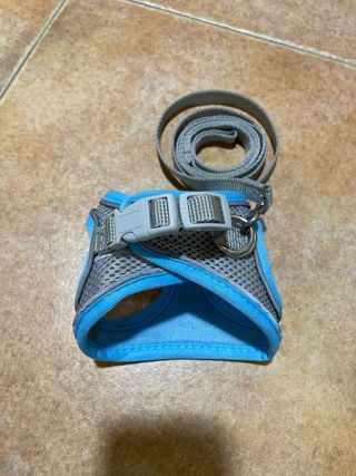 Arnés para gato azul y gris