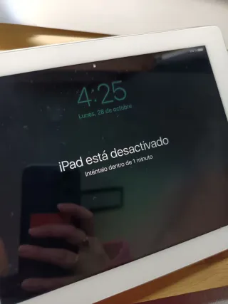 iPad 4ª Gen Modelo A1460 Plata