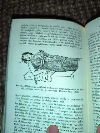 Libro erótico (1962)