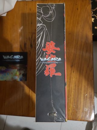 Vasara collection coleccionista