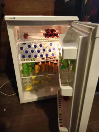 Nevera blanca pequeña