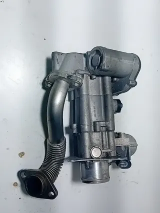 Válvula EGR Renault Nissan Opel