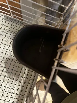 Jaula para pájaros blanca con soporte