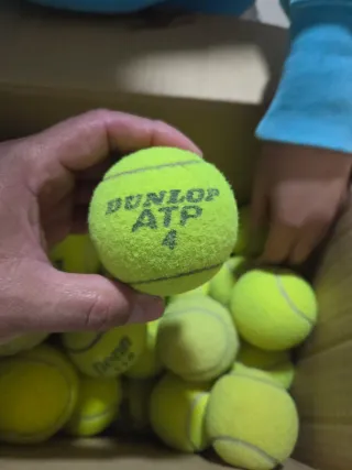 Lote Pelotas Tenis Babolat Entrenamiento