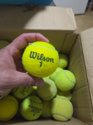 Lote Pelotas Tenis Babolat Entrenamiento