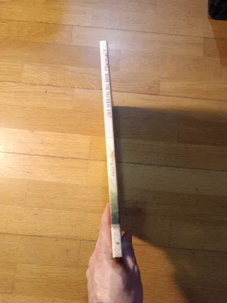 ¿Qué será eso del amor, Minimoni?