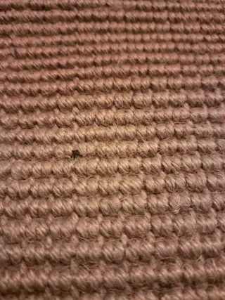 Alfombra de yute con borde verde