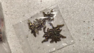 Abalorios Bronce Filigrana Manualidades