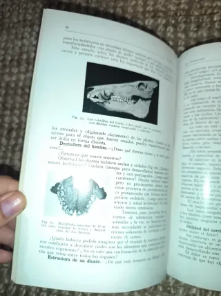 libro antiguo (1930)