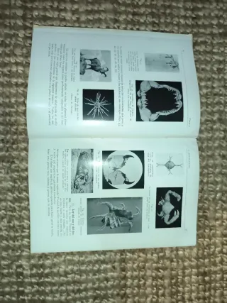 libro antiguo (1930)