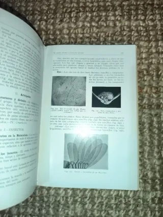 libro antiguo (1930)