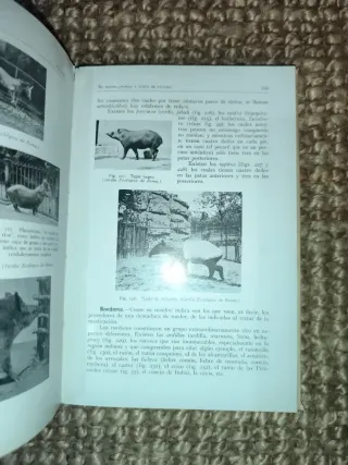 libro antiguo (1930)