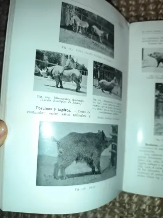 libro antiguo (1930)