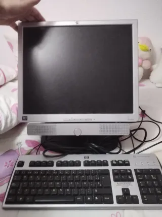 Monitor HP y Teclado HP Plata/Negro