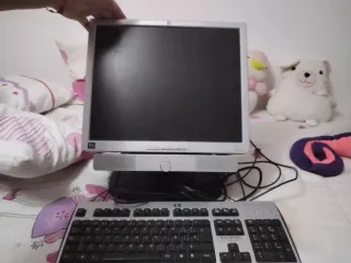 Monitor HP y Teclado HP Plata/Negro