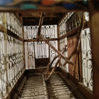 Preciosa Jaula Decorativa, policromada a mano