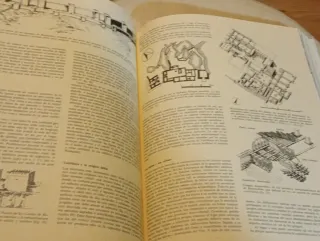 El despertar de la civilización