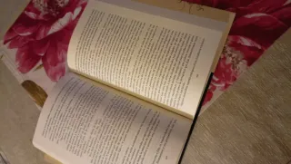 La última concubina (Historia Literatura Univer...