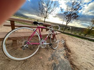 Bicicleta Clásica Zeus Vintage