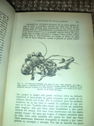 Libro Zoología (1950)
