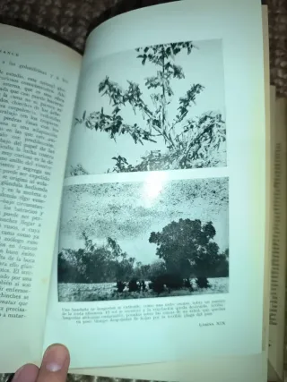 Libro Zoología (1950)