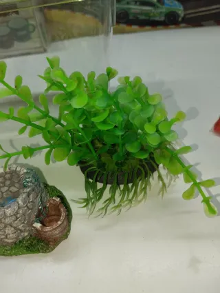 Transportín para viveros, decor para acuario