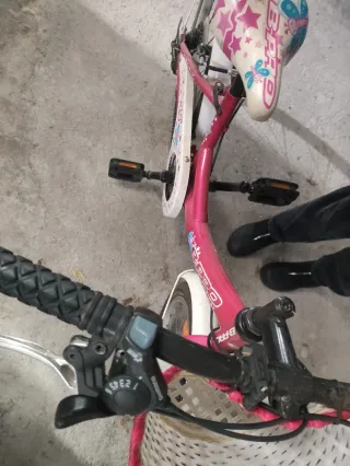 Bicicleta niña rosa 20''