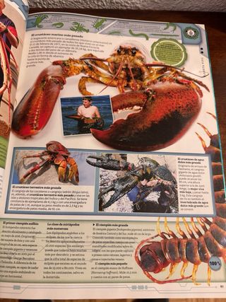 Guinness World Records 2019