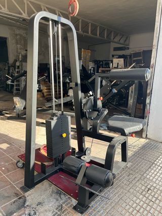 Máquina de abdominales profesional