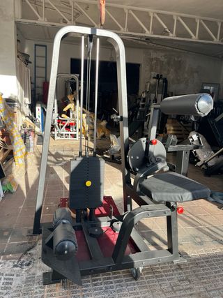 Máquina de abdominales profesional
