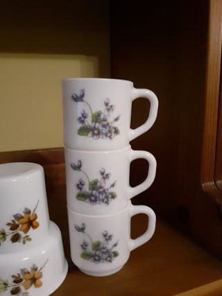 Arcopal Flores de Otoño Tazas