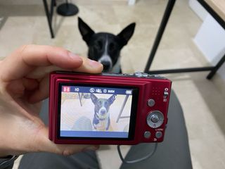 Panasonic Lumix DMC-FS35 Cámara Digital Roja