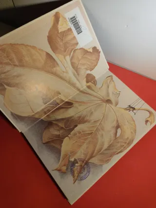 Las aventuras de Tom sawyer.