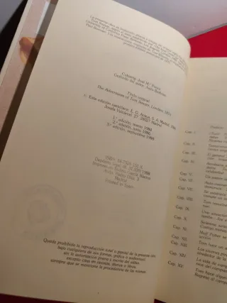 Las aventuras de Tom sawyer.