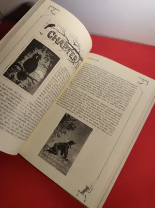 Las aventuras de Tom sawyer.