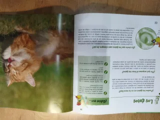 El Gran Libro De Preguntas De Ed Y Tor