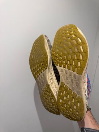 Nike Pegasus Turbo Beige Multicolor